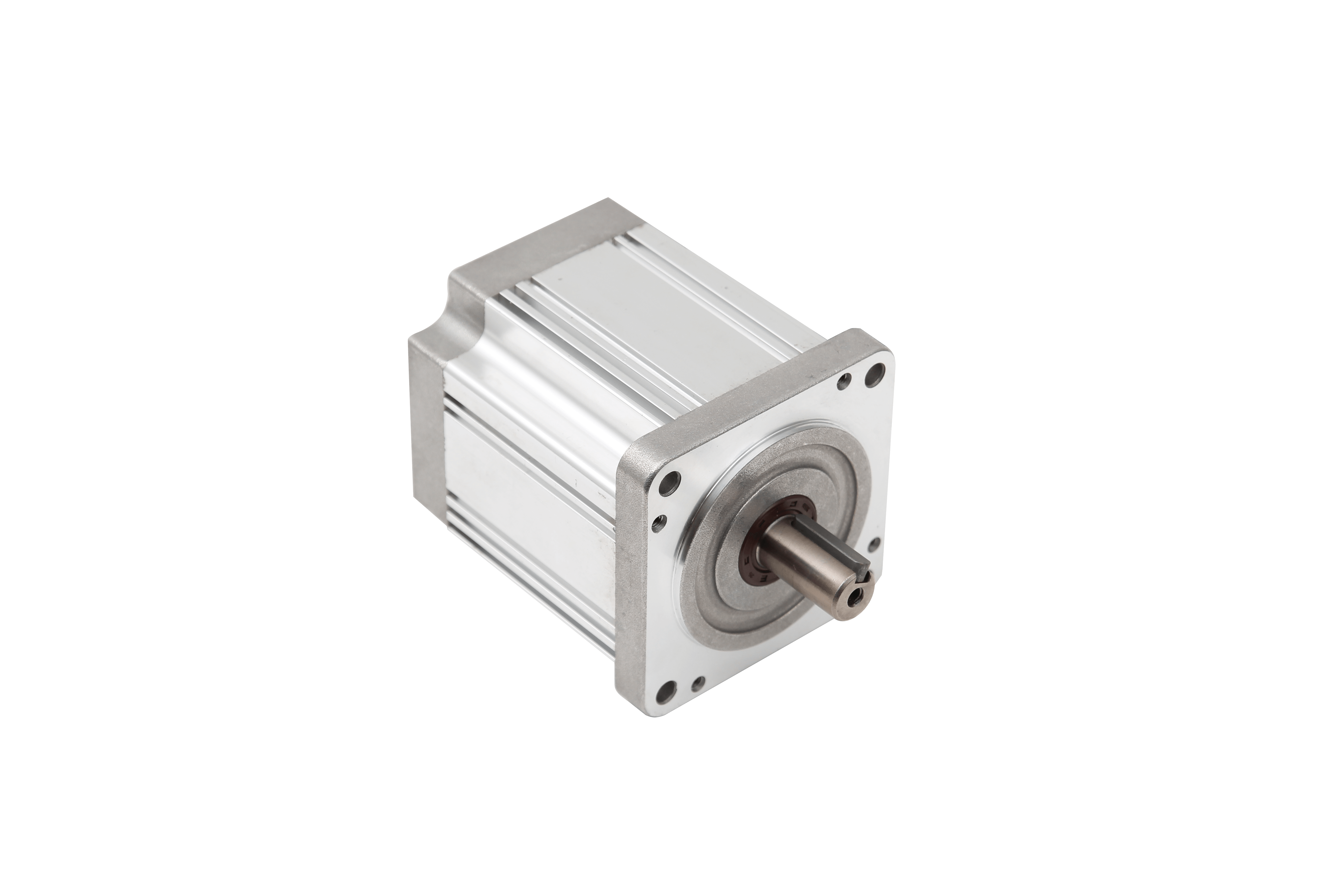 80BF brushless DC motor